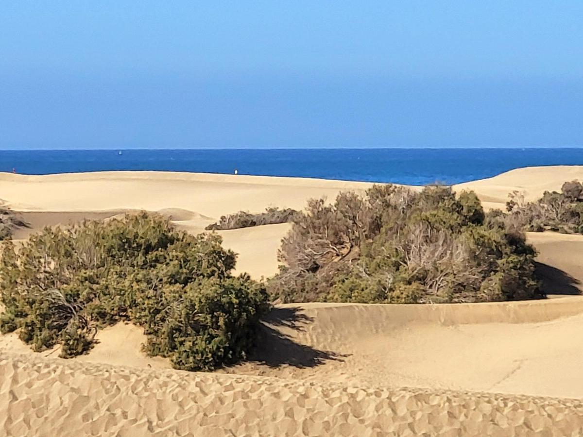 Taidia Tropical Apartman Maspalomas  Kültér fotó