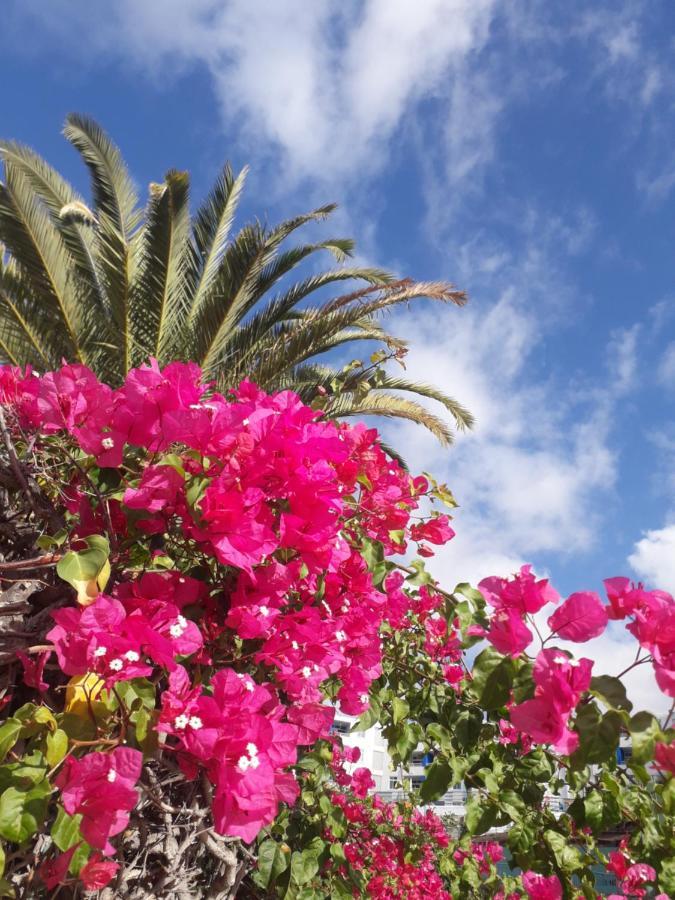 Taidia Tropical Apartman Maspalomas  Kültér fotó